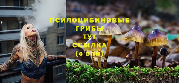 МДПВ Волоколамск