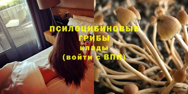ГАЛЛЮЦИНОГЕННЫЕ ГРИБЫ Володарск