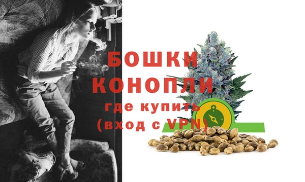 МДПВ Волоколамск